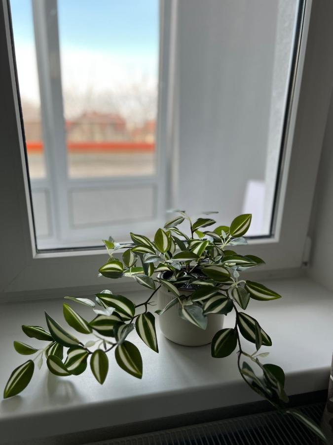 Apartament Lovely With Terrace! *